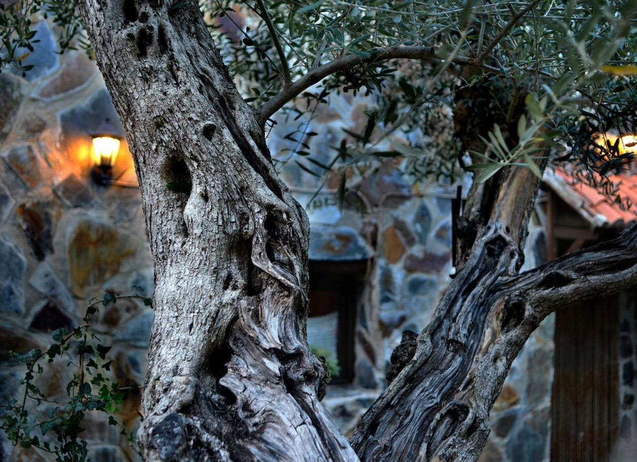 La Casita De Leire Guest House Tamajon Екстериор снимка