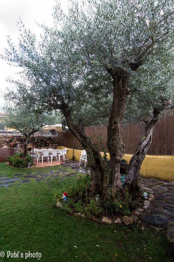 La Casita De Leire Guest House Tamajon Екстериор снимка