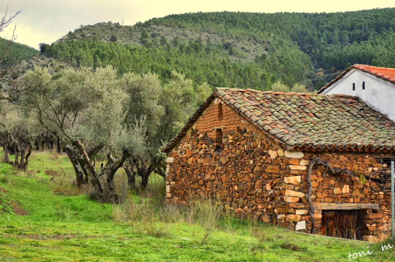 La Casita De Leire Guest House Tamajon Екстериор снимка